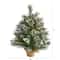 2ft. Pre-Lit Frosted Pine Artificial Christmas Tree with Pinecones, Clear LED Lights